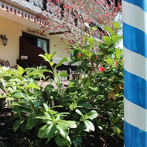 Birkenhof Mit Herz Affittacamere Pfronten